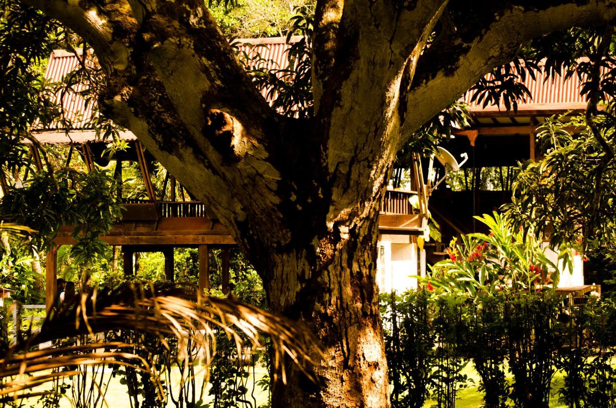 Hotel Bahia Aguacate Capurganá المظهر الخارجي الصورة